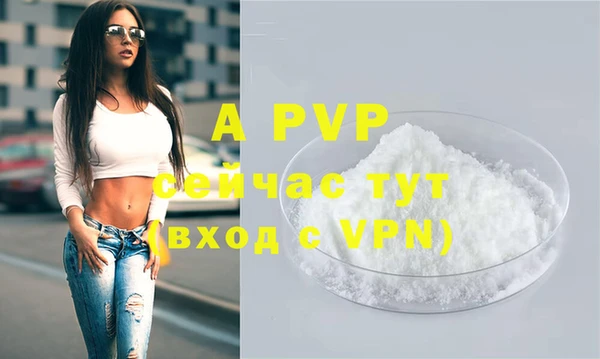крисы Сосновый Бор