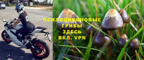 бошки Сосновоборск