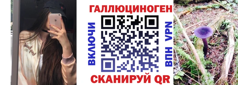 Псилоцибиновые грибы Cubensis  блэк спрут вход  Ува 